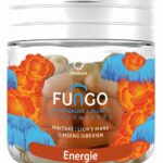 Gélules Fungo Energie Novaloa
