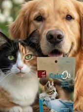 CBD pour animaux