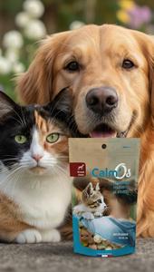 CBD pour animaux