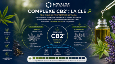Complexe CB2 Novaloa Apercu